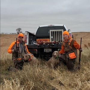 Meet your Posher, Bo